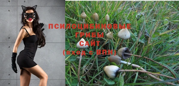 гидра Нижний Тагил