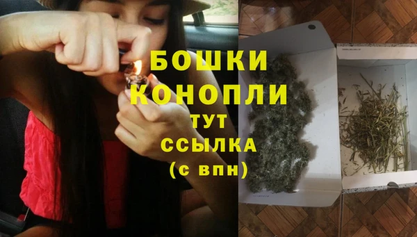 мяу мяу мука Магадан