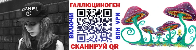 Псилоцибиновые грибы Psilocybine cubensis Прокопьевск