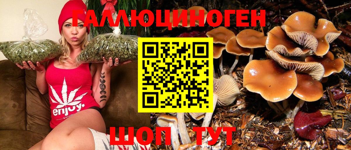 Псилоцибиновые грибы Psilocybine cubensis Прокопьевск
