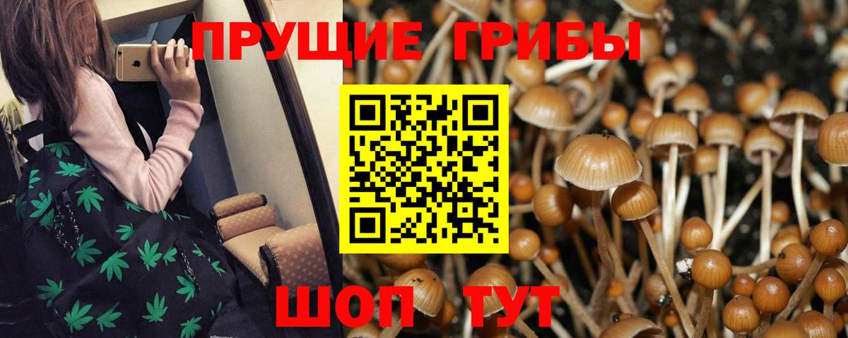 Прокопьевск  Галлюциногенные грибы мухоморы  Вход с VPN 